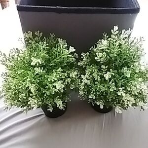 Lush Faux Greenery in Elegant Black Planter